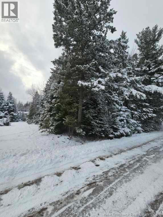 Lot Rues Des Pins, Shediac River, New Brunswick  E4R 1H2 - Photo 6 - NB133154