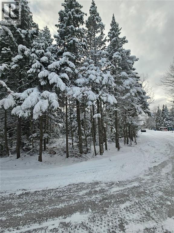 Lot Rues Des Pins, Shediac River, New Brunswick  E4R 1H2 - Photo 7 - NB133154
