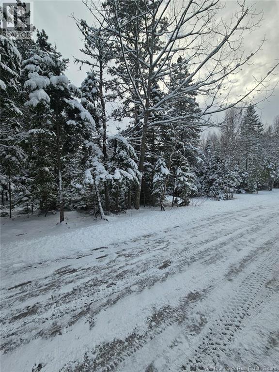 Lot Rues Des Pins, Shediac River, New Brunswick  E4R 1H2 - Photo 8 - NB133154