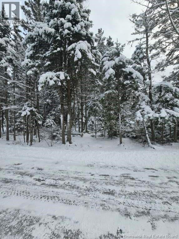 Lot Rues Des Pins, Shediac River, New Brunswick  E4R 1H2 - Photo 9 - NB133154