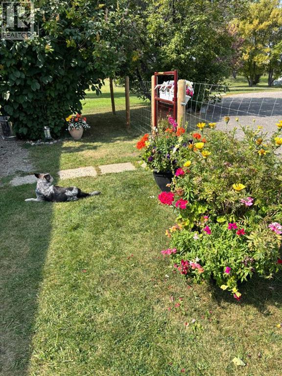 443 Homestead Trail Se, High River, Alberta  T1V 1J9 - Photo 31 - A2283643