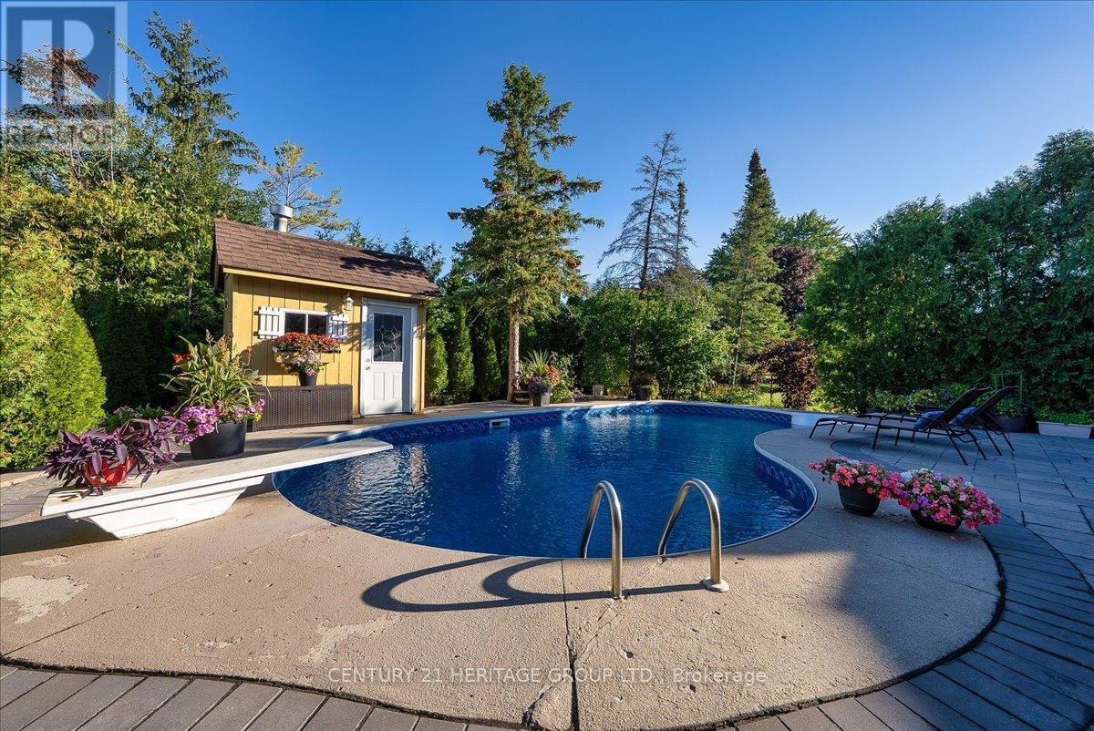 Basement Apartment - 363 Otton Road N, Newmarket, Ontario  L3X 1E5 - Photo 15 - N12758494