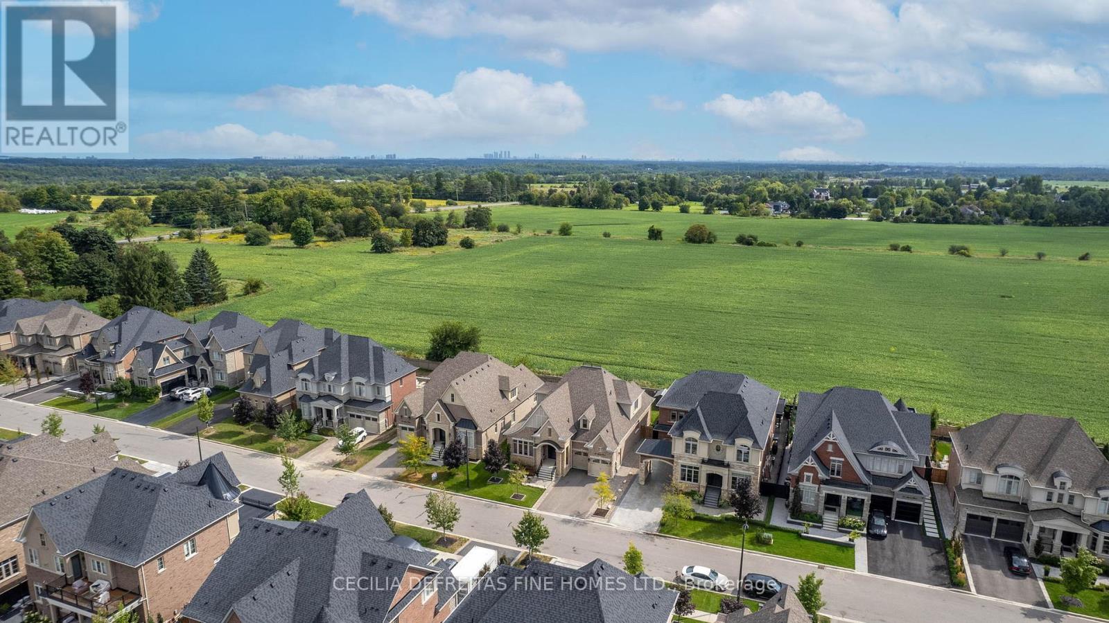 31 Munsie Drive, King, Ontario  L7B 0N8 - Photo 41 - N12758440