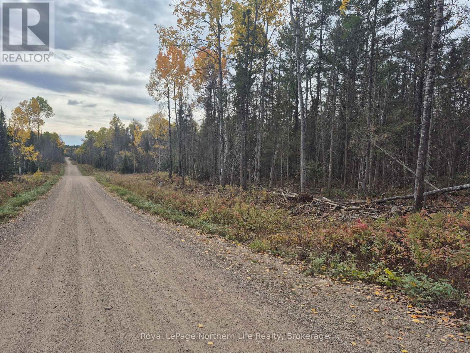 Pt Lot 1 Con 9 Part 1 Archambeault Road, Papineau-Cameron (Papineau Cameron), Ontario  P0H 1V0 - Photo 3 - X12758686