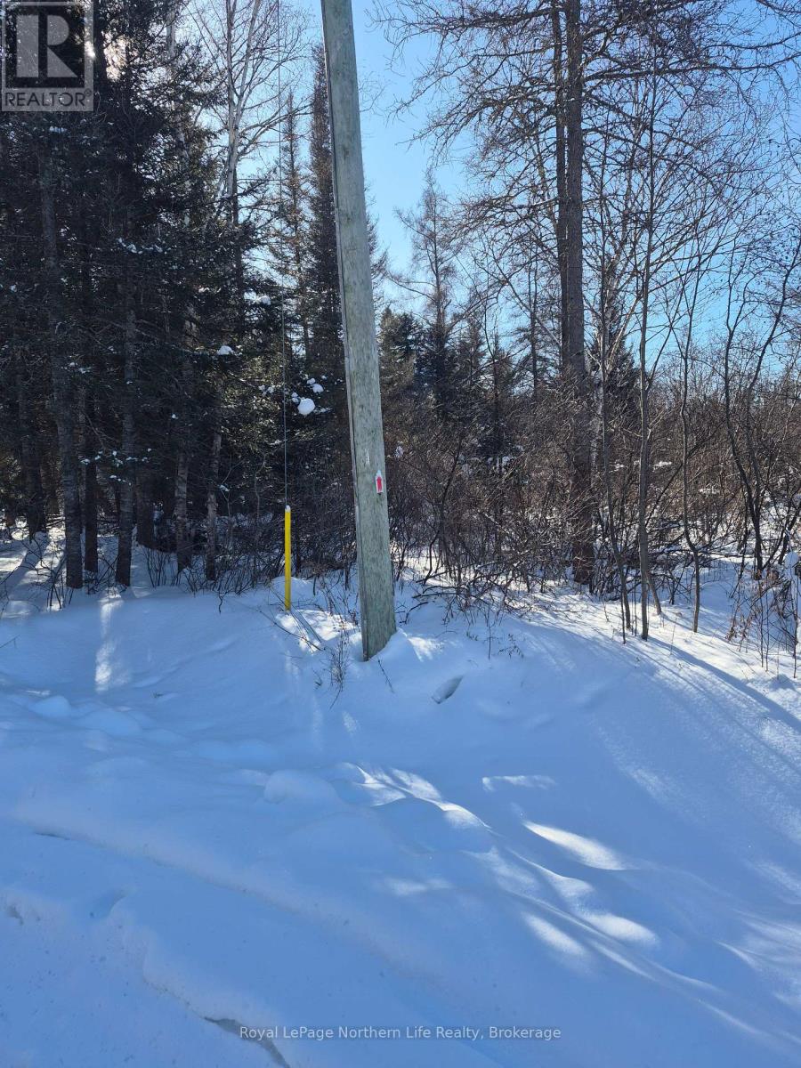 Pt Lot 1 Con 9 Part 1 Archambeault Road, Papineau-Cameron (Papineau Cameron), Ontario  P0H 1V0 - Photo 1 - X12758686