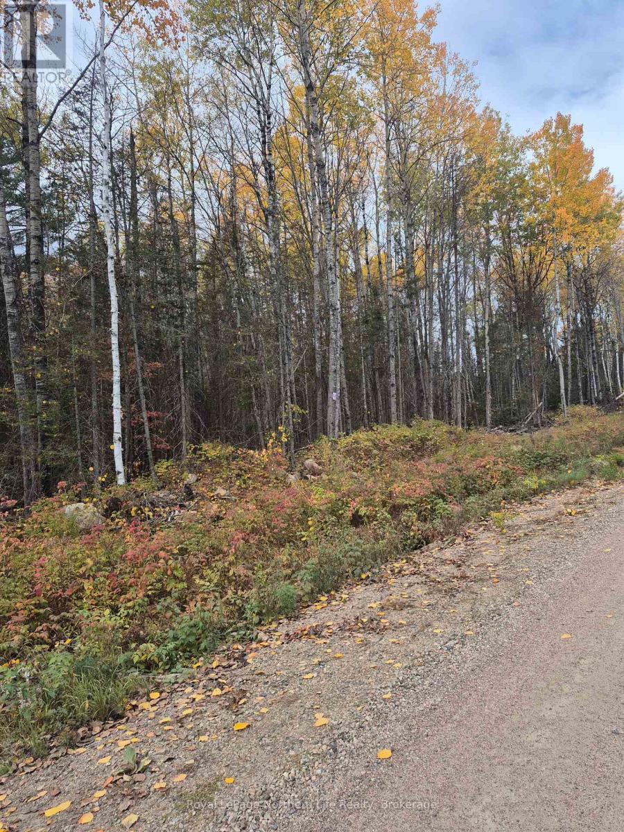 Pt Lot 1 Con 9 Part 1 Archambeault Road, Papineau-Cameron (Papineau Cameron), Ontario  P0H 1V0 - Photo 2 - X12758686