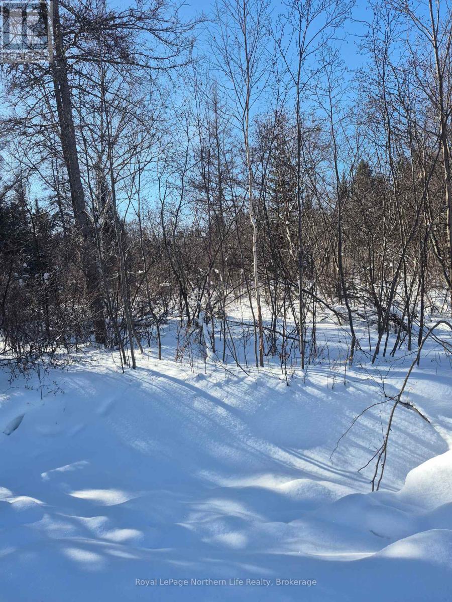 Pt Lot 1 Con 9 Part 1 Archambeault Road, Papineau-Cameron (Papineau Cameron), Ontario  P0H 1V0 - Photo 4 - X12758686