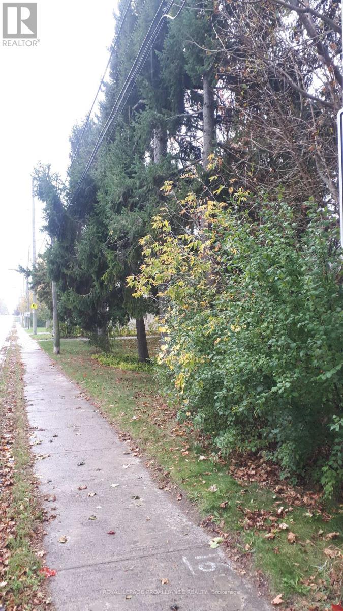 198 Victoria Street N, Port Hope, Ontario  L1A 3N3 - Photo 2 - X12476384