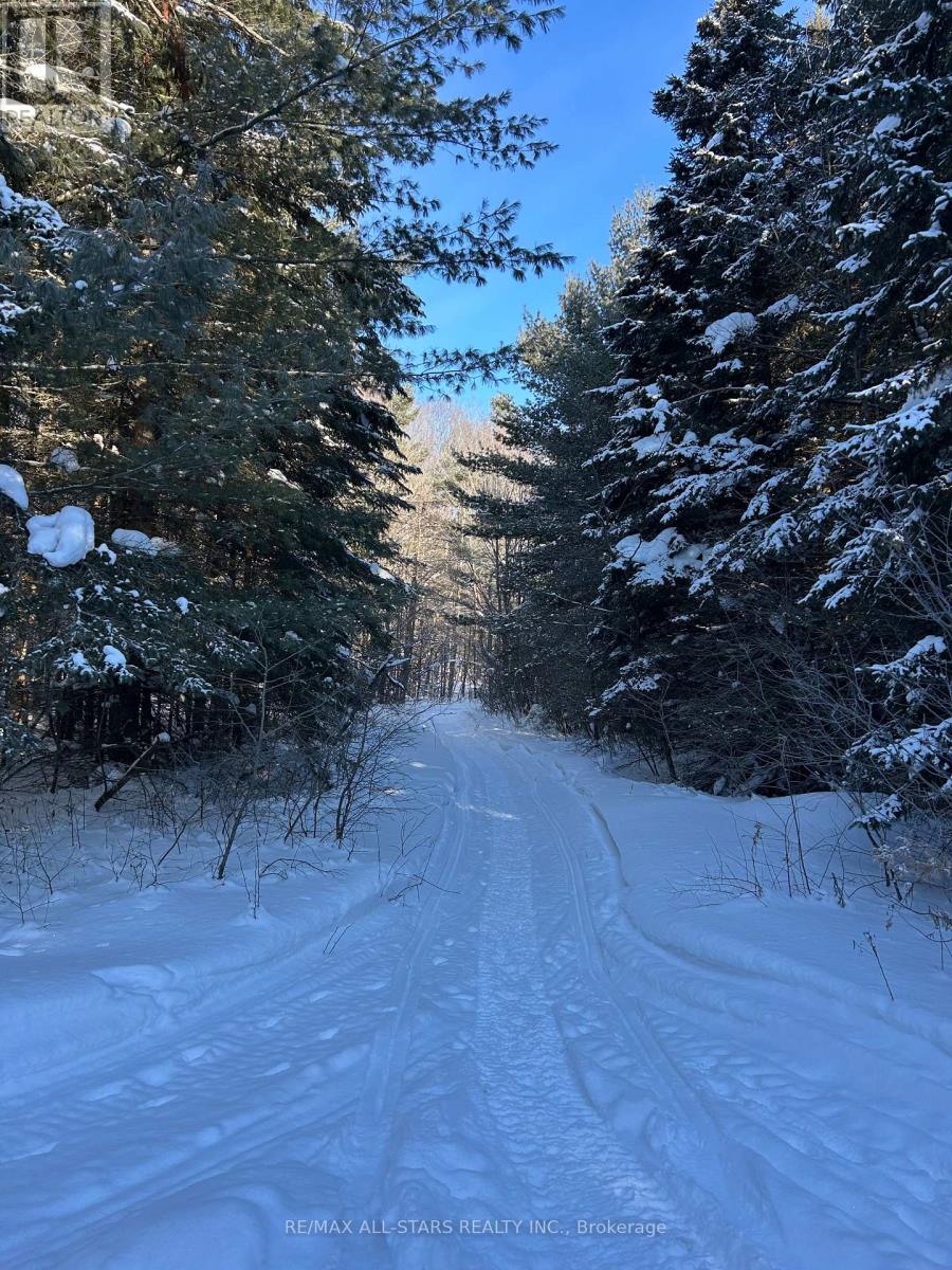 0 Telecom Road, Kawartha Lakes, Ontario  L0A 1K0 - Photo 4 - X12750294