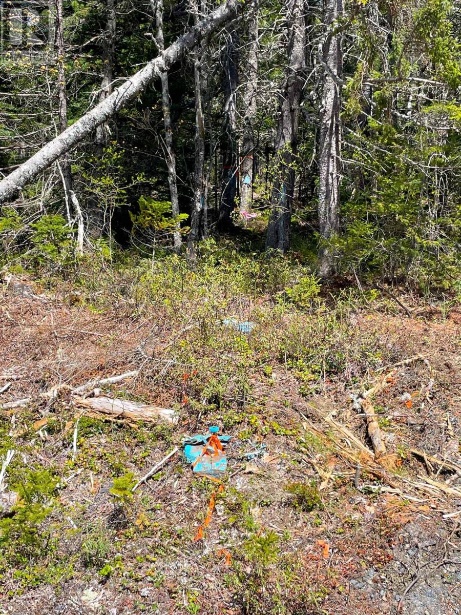 Lot 6 Waterloo Road, Waterloo, Nova Scotia  B4V 5S7 - Photo 25 - 202602143