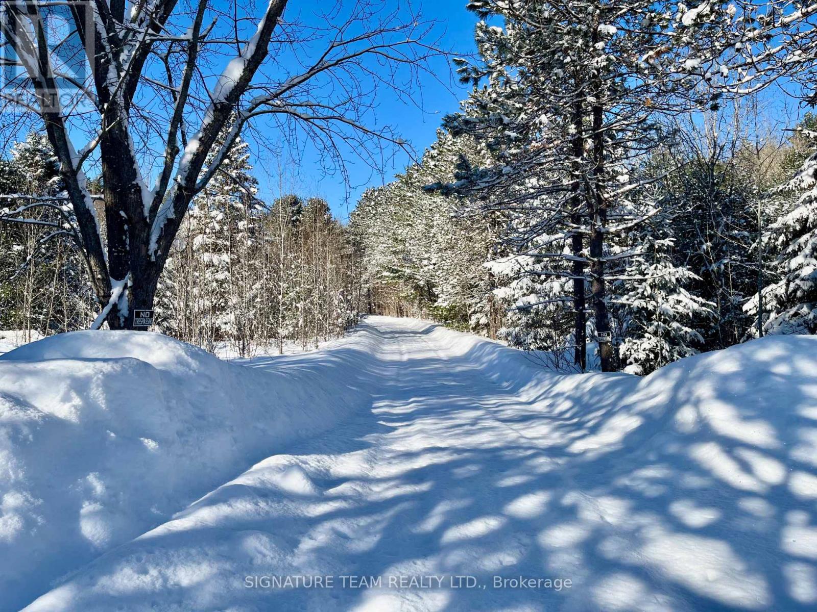 19626 41 Highway, Addington Highlands, Ontario  K0H 1K0 - Photo 7 - X12300111