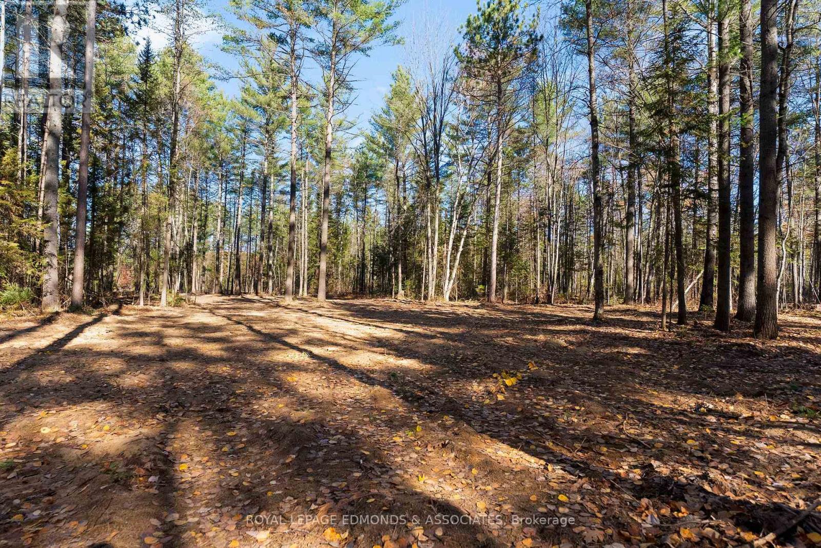 100 Nangor Trail, Whitewater Region, Ontario  K0J 2L0 - Photo 7 - X12612216