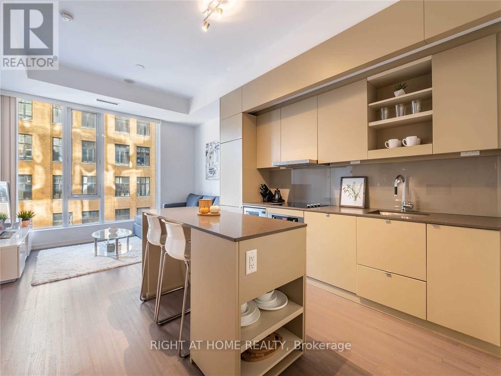 407 - 101 Peter Street, Toronto, Ontario  M5V 2G9 - Photo 6 - C12758982