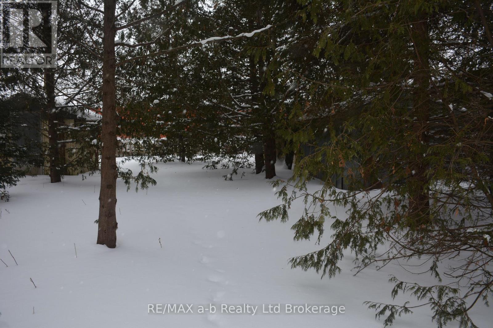 146 Whiting Street, Ingersoll, Ontario  N5C 3B3 - Photo 4 - X12758322