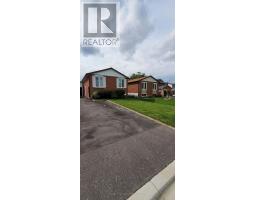 BSMT - 464 SANDFORD STREET, Newmarket, Ontario
