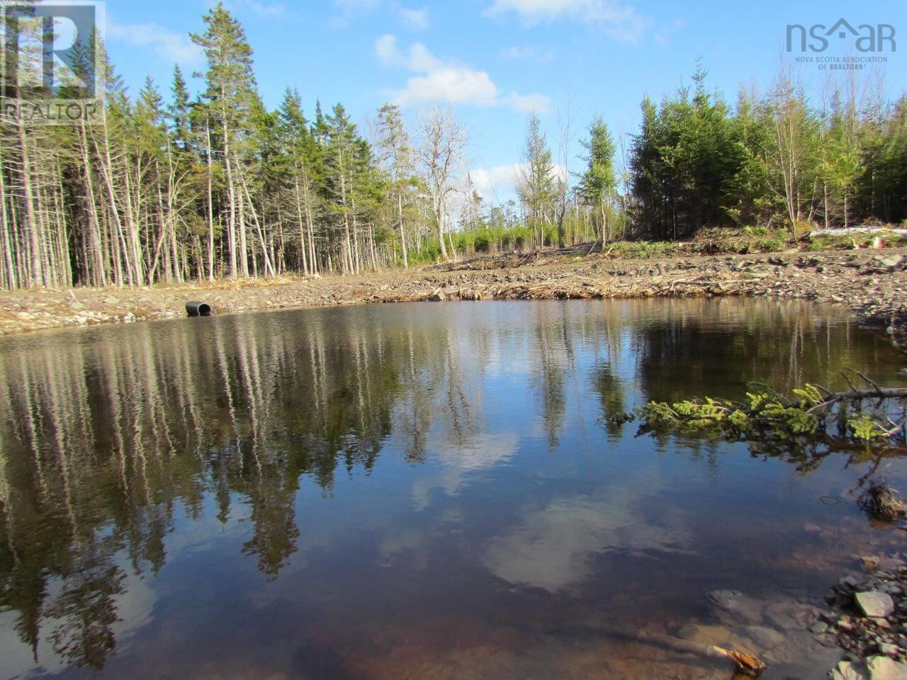 235 Condons Lake Drive, Lynchs River, Nova Scotia  B0E 3B0 - Photo 35 - 202602145