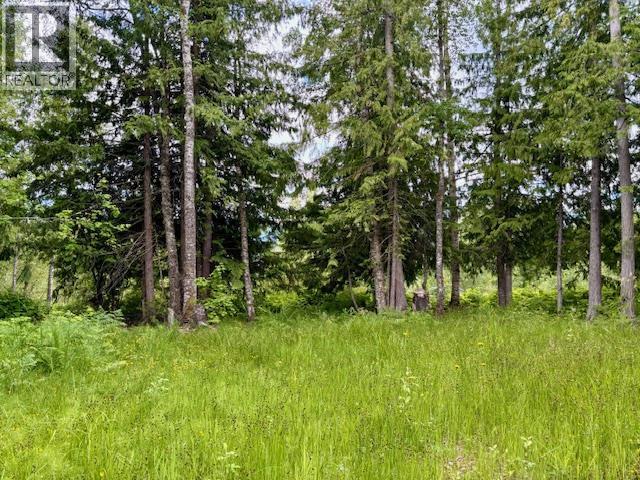 424 Galena Shores Drive, Galena Bay, British Columbia  V0G 1R0 - Photo 20 - 10374300