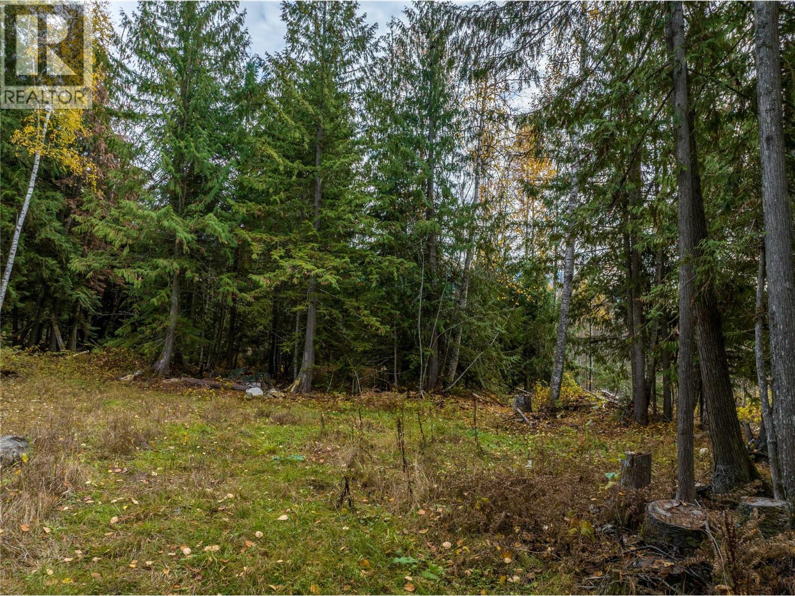 424 Galena Shores Drive, Galena Bay, British Columbia  V0G 1R0 - Photo 44 - 10374300