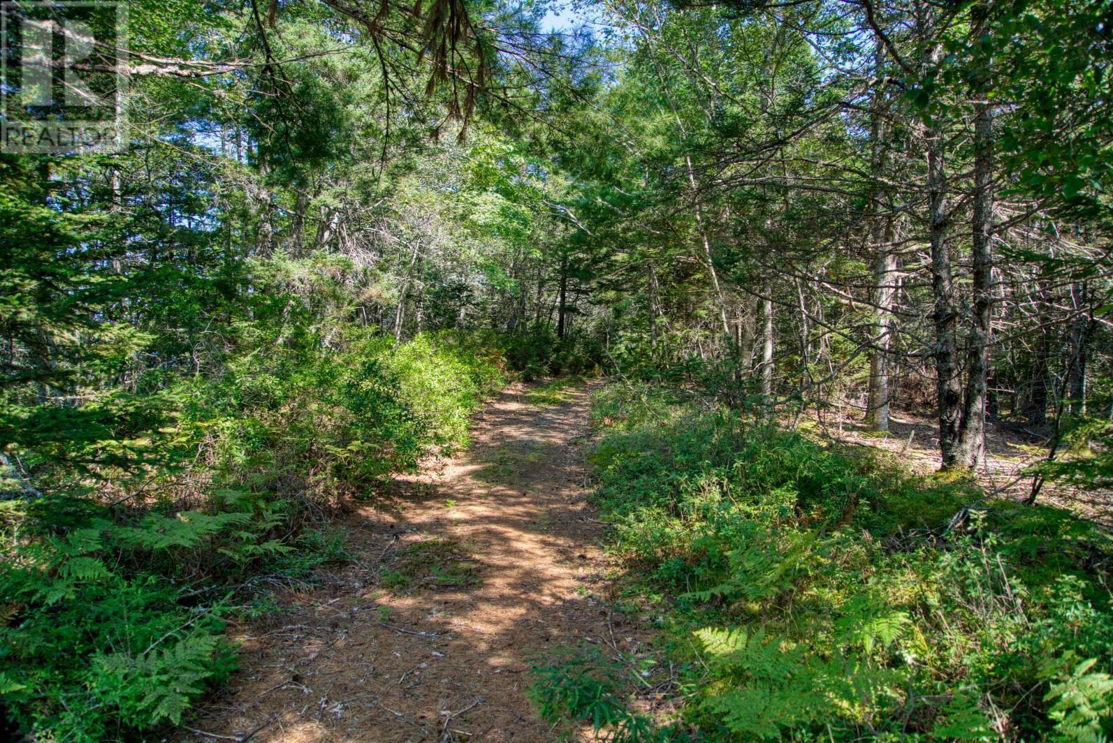 Lot 5 Cooks Brook, Bayport, Nova Scotia  B0J 2C0 - Photo 13 - 202601189
