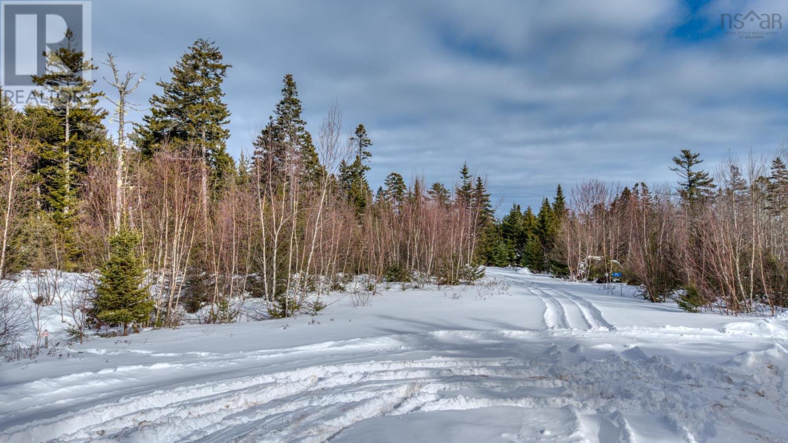 Lot 5 Cooks Brook, Bayport, Nova Scotia  B0J 2C0 - Photo 30 - 202601189