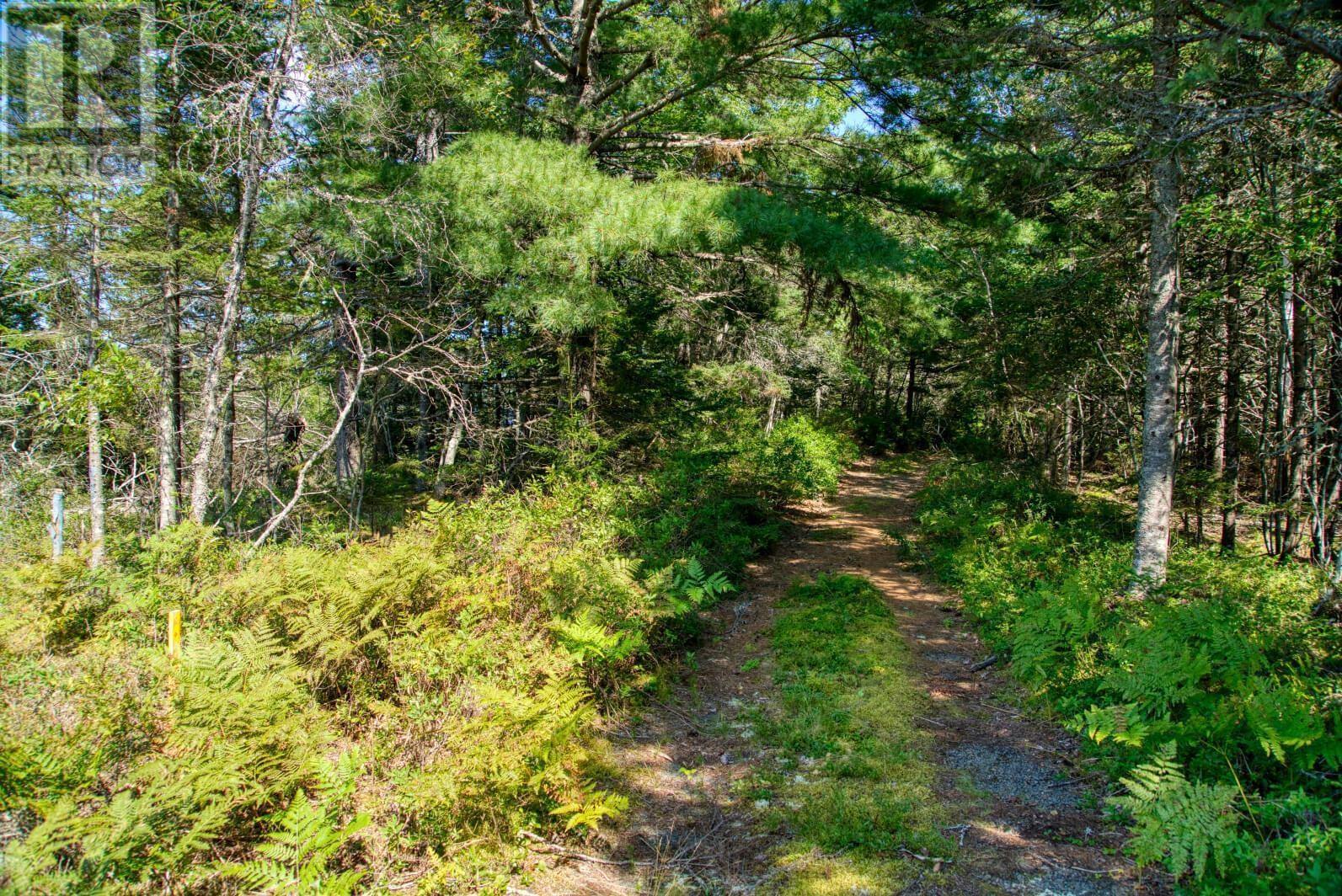 Lot 5 Cooks Brook, Bayport, Nova Scotia  B0J 2C0 - Photo 17 - 202601189