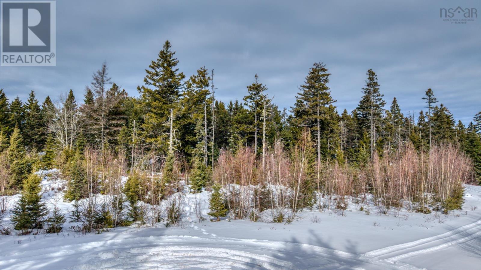 Lot 5 Cooks Brook, Bayport, Nova Scotia  B0J 2C0 - Photo 49 - 202601189