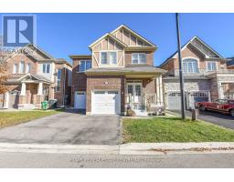 13 FEEDER STREET, Brampton, Ontario