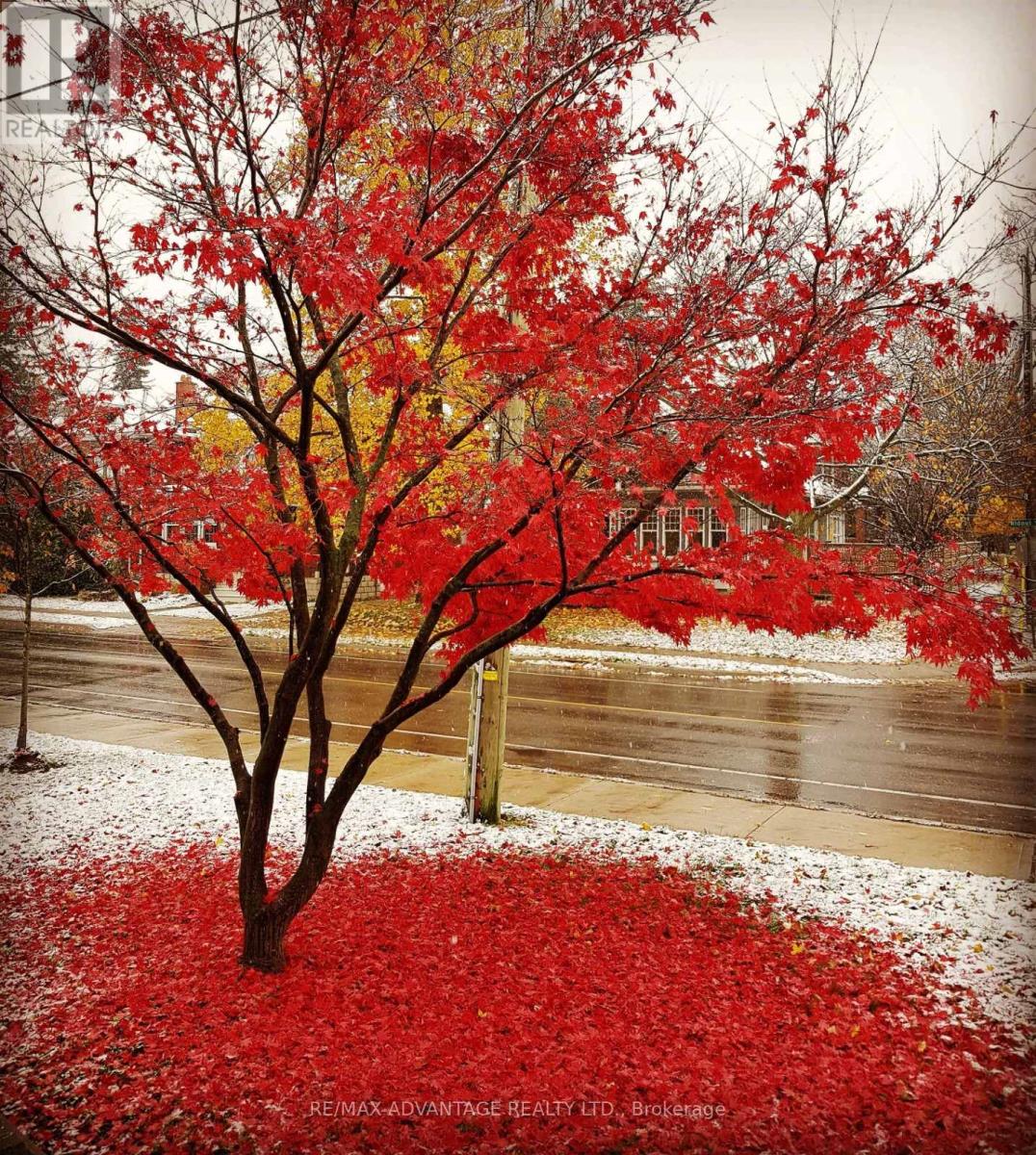 258 Ridout Street S, London South, Ontario  N6C 3Y6 - Photo 47 - X12758164