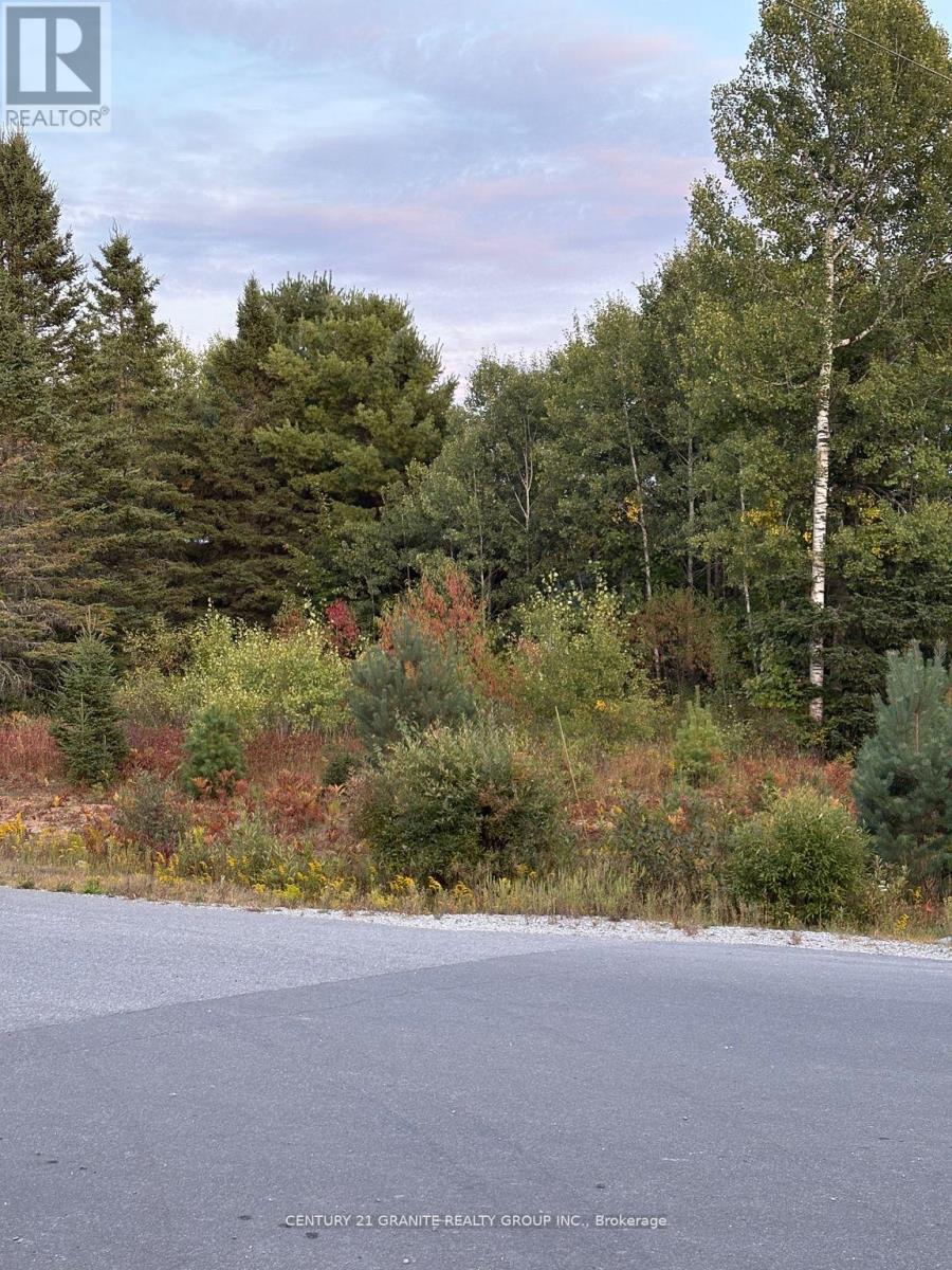 Lt 13 Bancroft Ridge Drive, Bancroft (Bancroft Ward), Ontario  K0L 1C0 - Photo 5 - X12757716