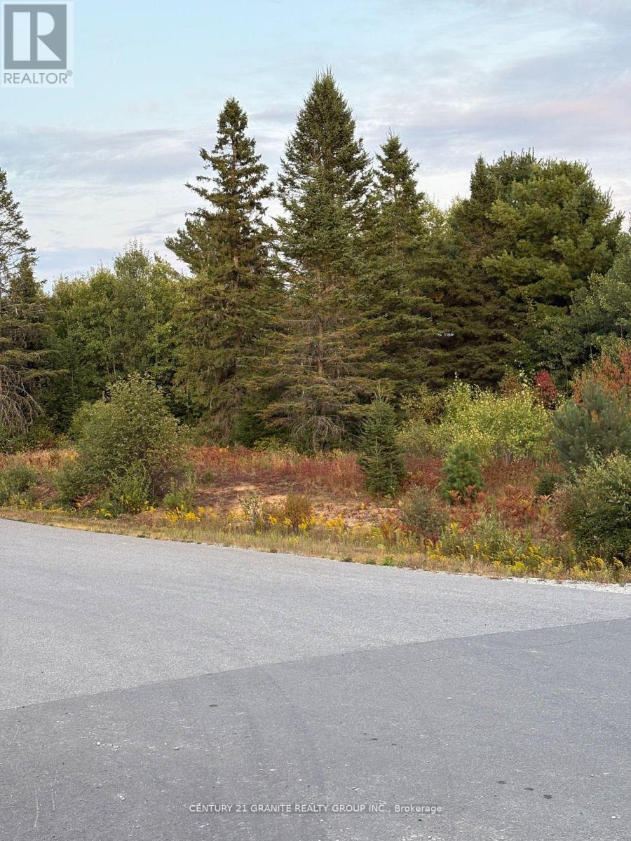 Lt 13 Bancroft Ridge Drive, Bancroft (Bancroft Ward), Ontario  K0L 1C0 - Photo 6 - X12757716