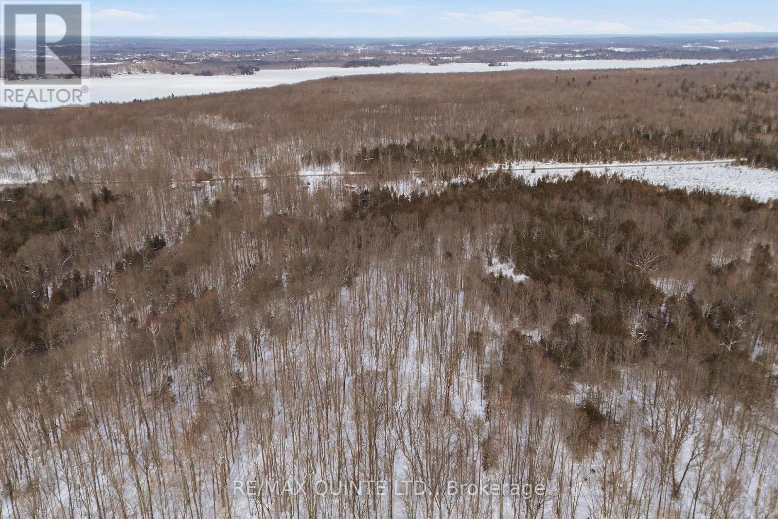 344 Quin-Mo-Lac Road, Centre Hastings, Ontario  K0K 2K0 - Photo 9 - X12758160