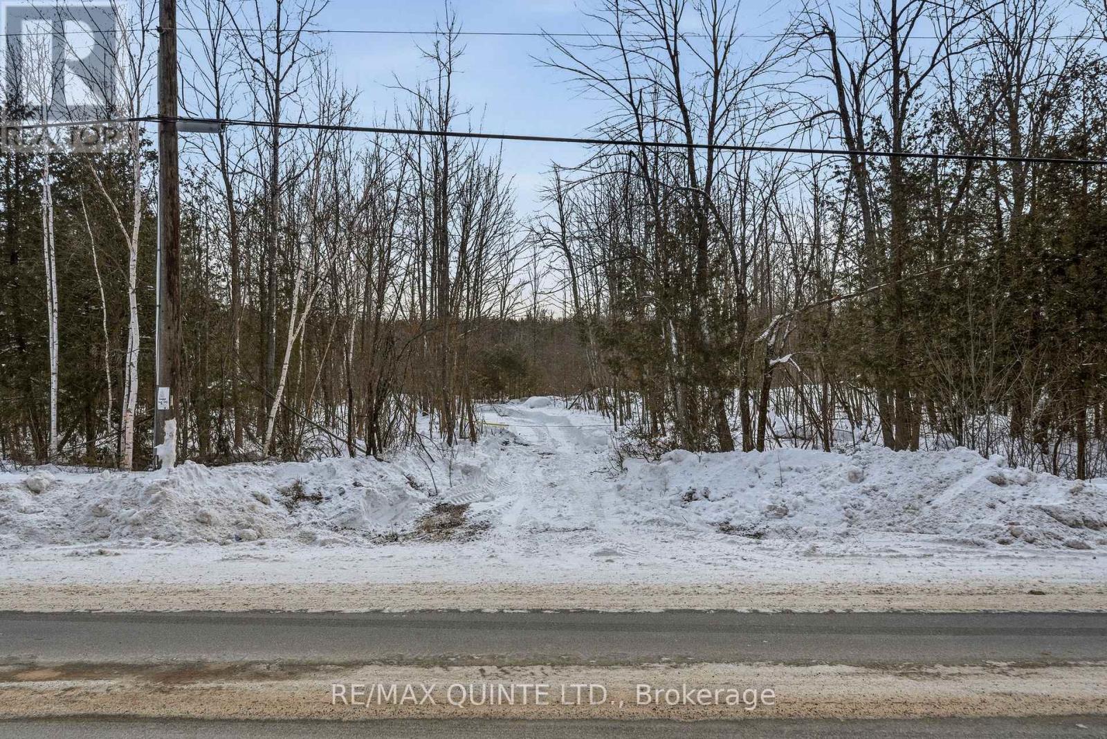 344 Quin-Mo-Lac Road, Centre Hastings, Ontario  K0K 2K0 - Photo 10 - X12758160