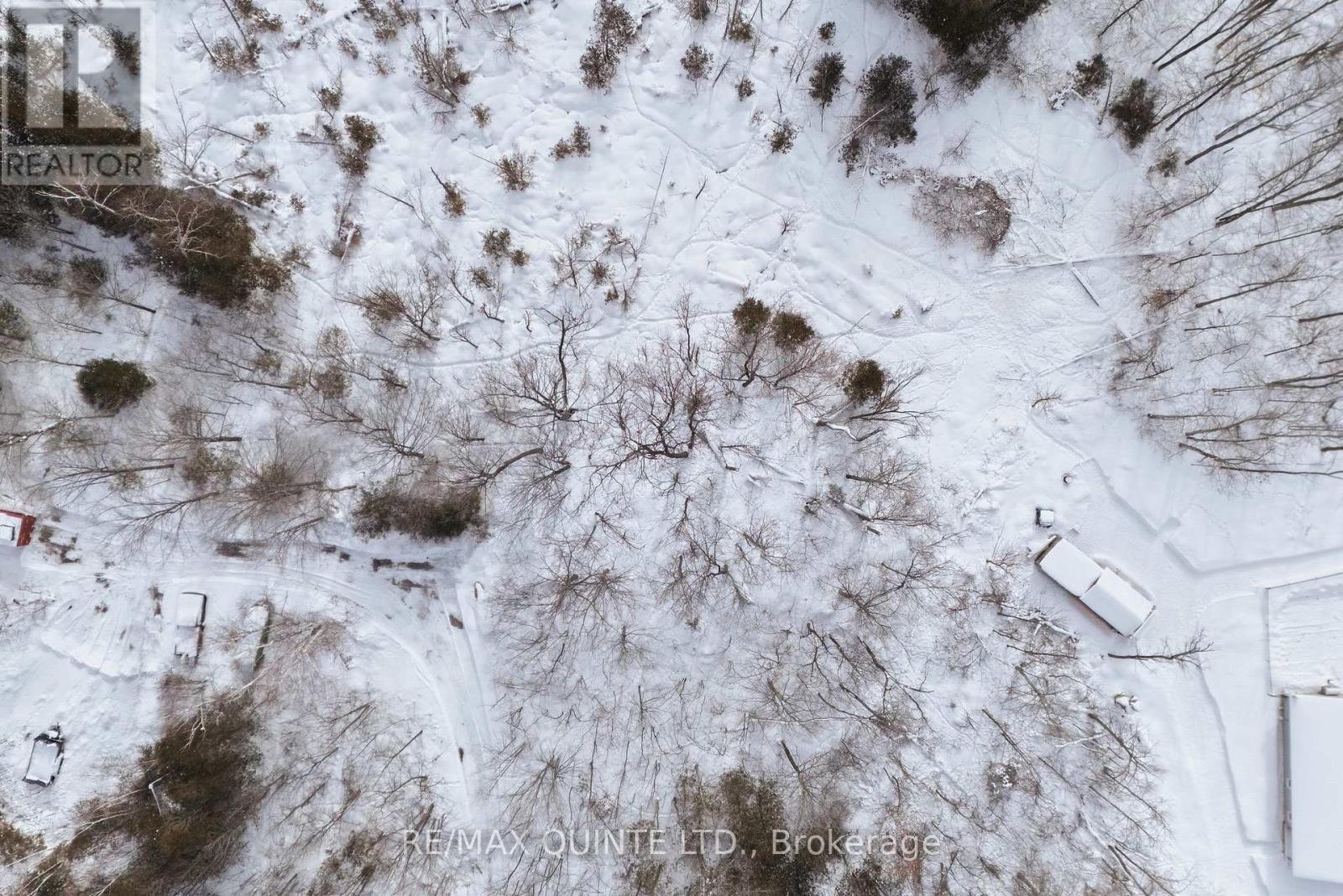 344 Quin-Mo-Lac Road, Centre Hastings, Ontario  K0K 2K0 - Photo 11 - X12758160