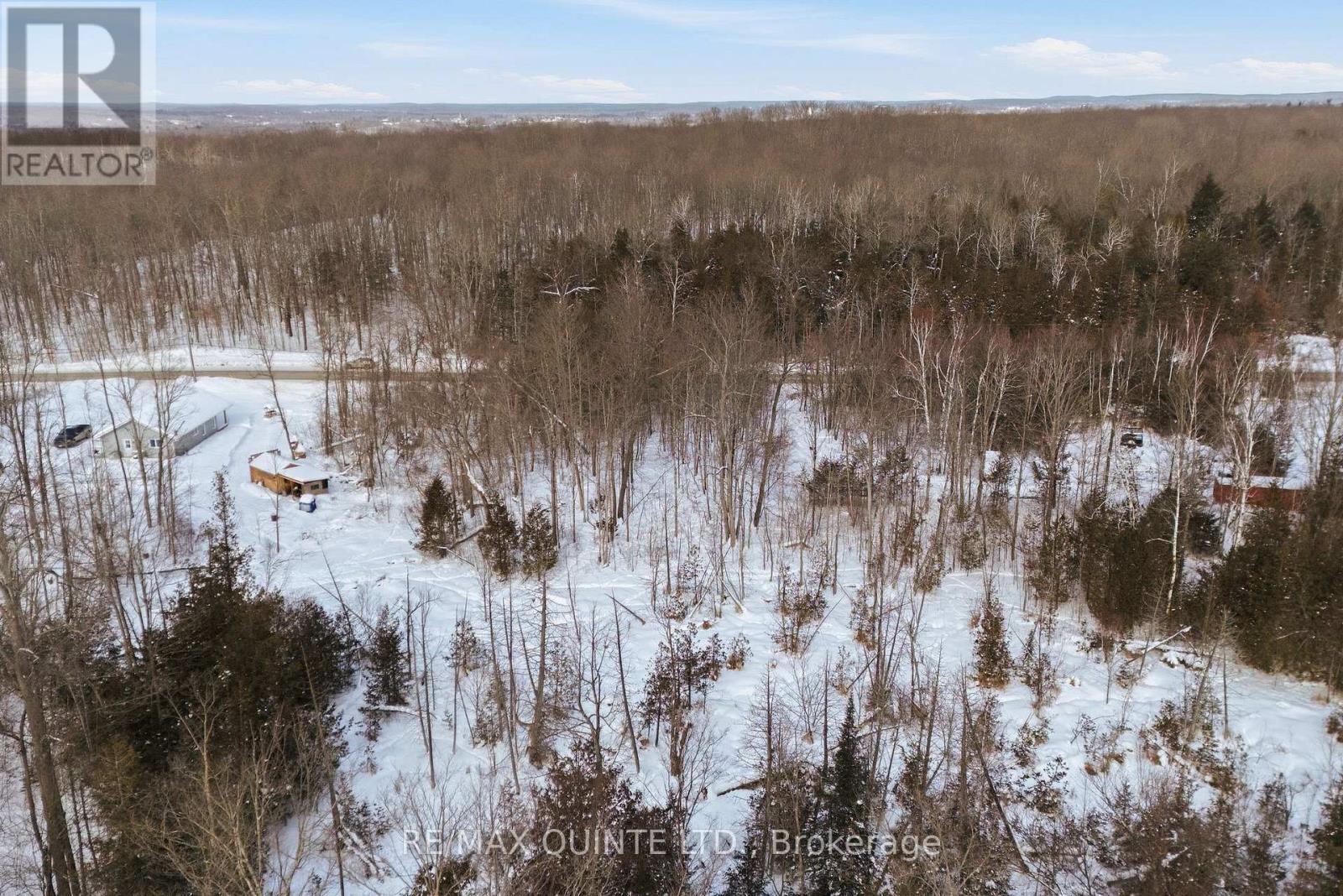 344 Quin-Mo-Lac Road, Centre Hastings, Ontario  K0K 2K0 - Photo 7 - X12758160