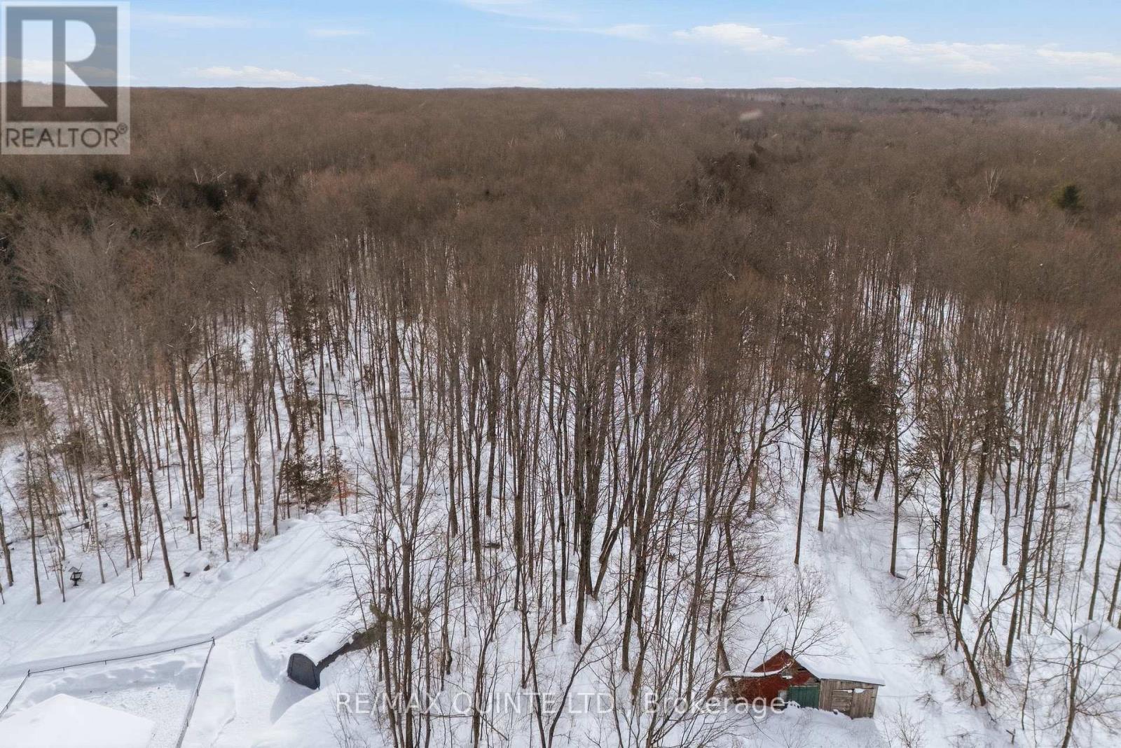 344 Quin-Mo-Lac Road, Centre Hastings, Ontario  K0K 2K0 - Photo 19 - X12758160