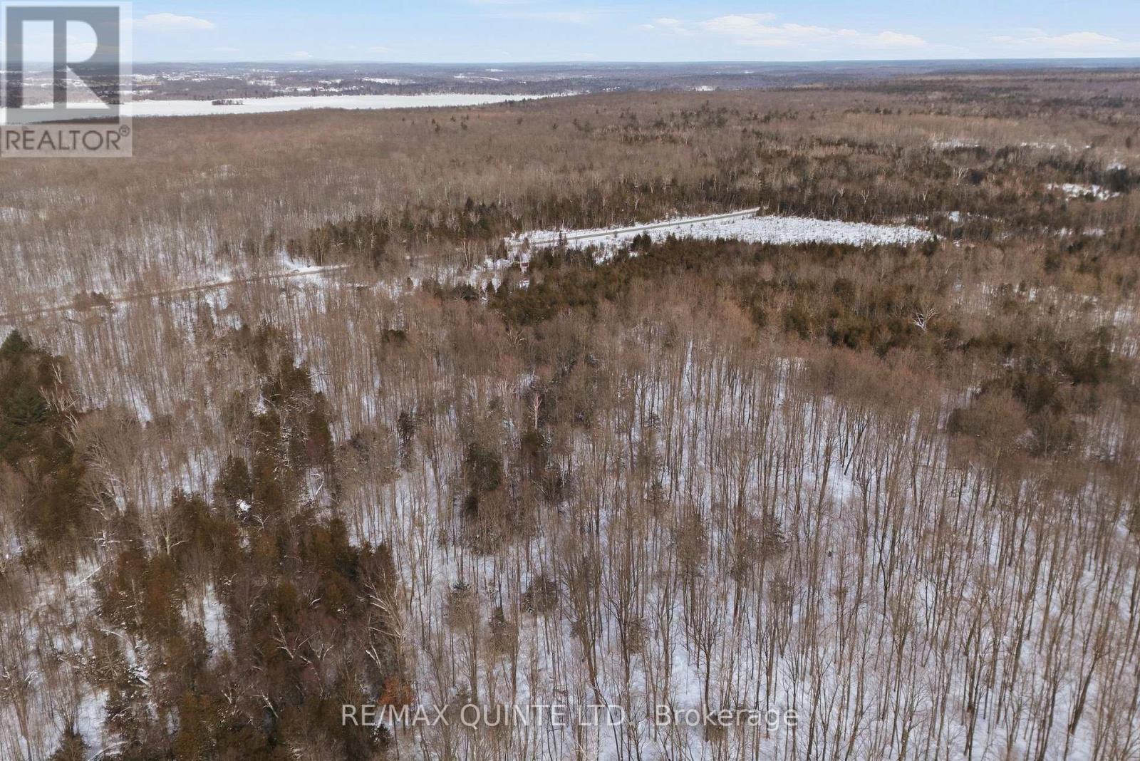 344 Quin-Mo-Lac Road, Centre Hastings, Ontario  K0K 2K0 - Photo 15 - X12758160