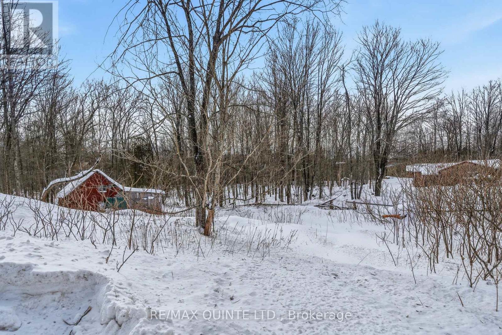 344 Quin-Mo-Lac Road, Centre Hastings, Ontario  K0K 2K0 - Photo 5 - X12758160