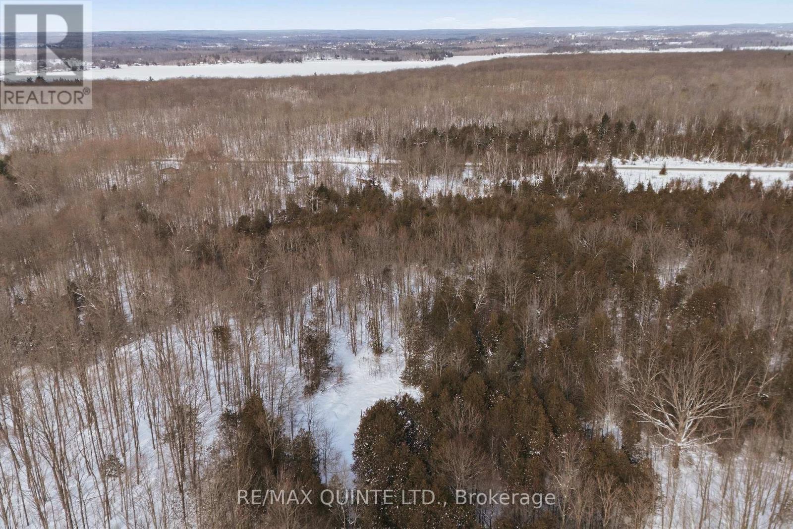 344 Quin-Mo-Lac Road, Centre Hastings, Ontario  K0K 2K0 - Photo 16 - X12758160