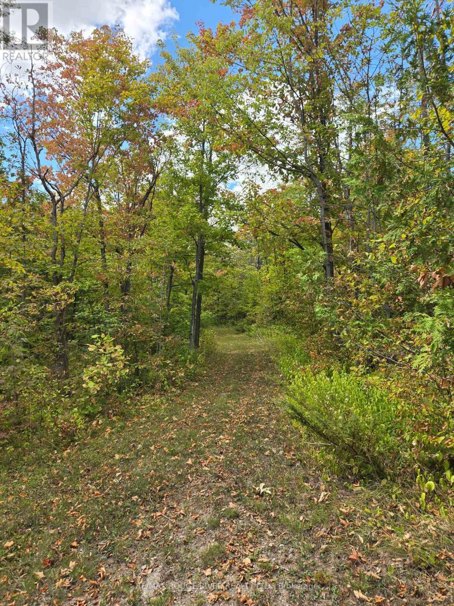 103080 Highway 7 Highway E, Marmora And Lake (Marmora Ward), Ontario  K0K 2M0 - Photo 4 - X12758614