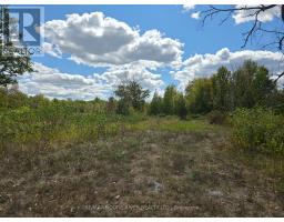 103080 HIGHWAY 7 HIGHWAY E, Marmora and Lake, Ontario