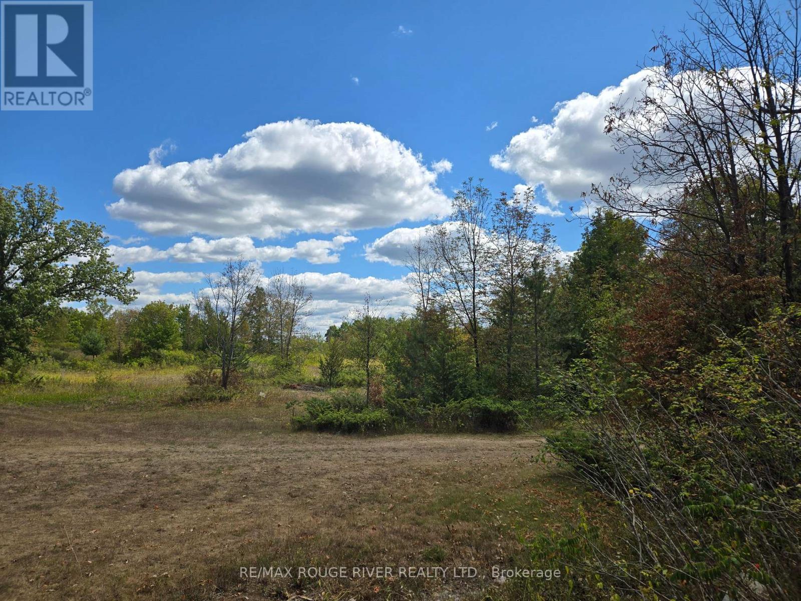 103080 Highway 7 Highway E, Marmora And Lake (Marmora Ward), Ontario  K0K 2M0 - Photo 5 - X12758614