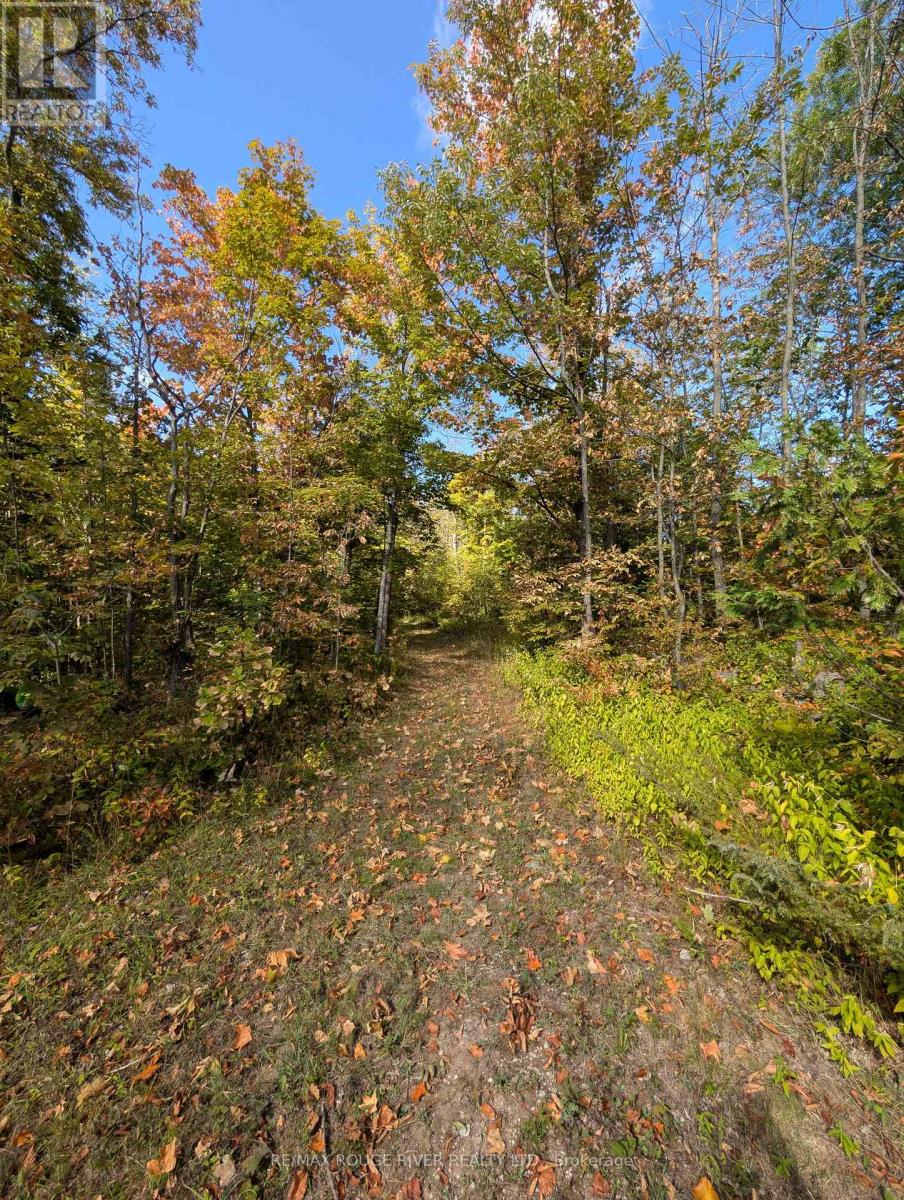 103080 Highway 7 Highway E, Marmora And Lake (Marmora Ward), Ontario  K0K 2M0 - Photo 2 - X12758614