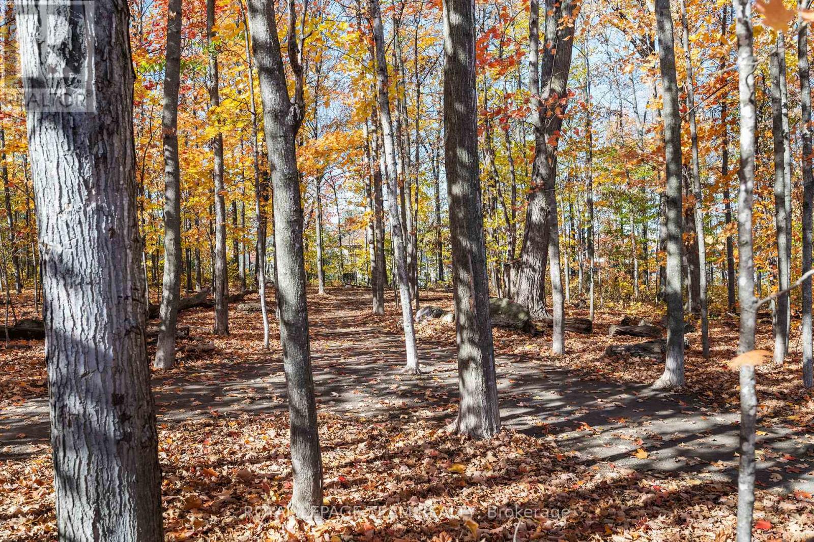 16 Spinney Way, Ottawa, Ontario  K2J 4Y8 - Photo 37 - X12492492