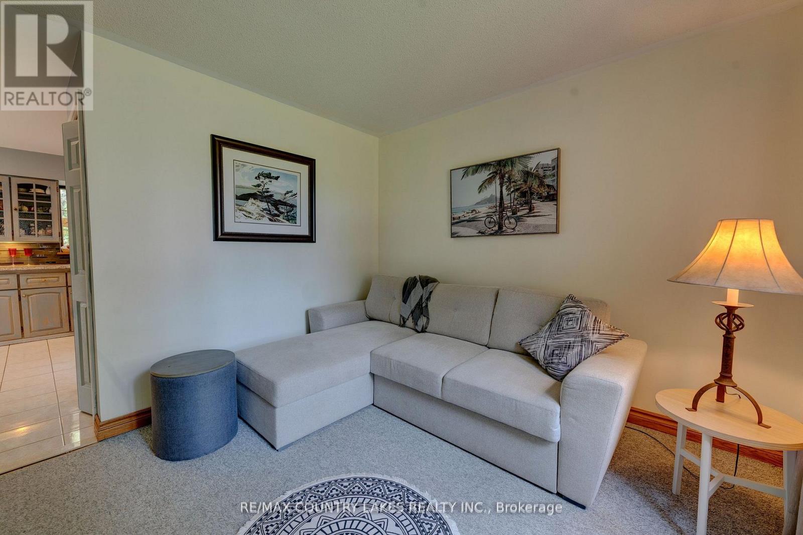 341 County Rd 46, Kawartha Lakes, Ontario  K0M 2M0 - Photo 16 - X12758644