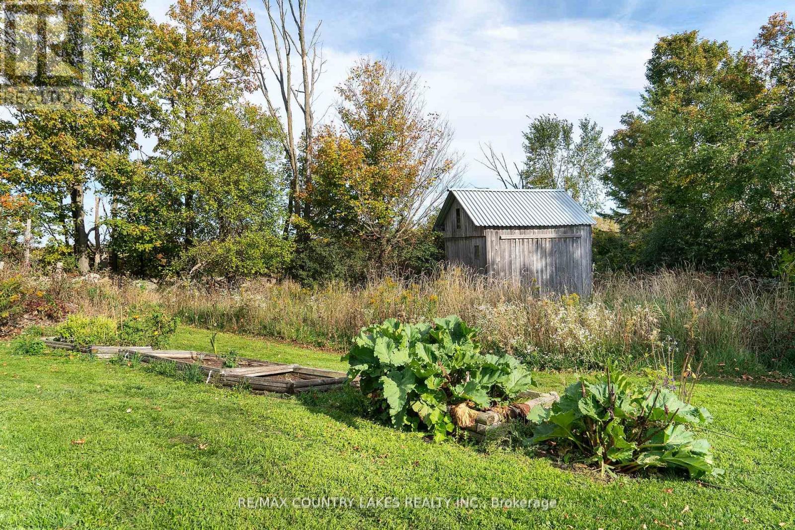 341 County Rd 46, Kawartha Lakes, Ontario  K0M 2M0 - Photo 43 - X12758644