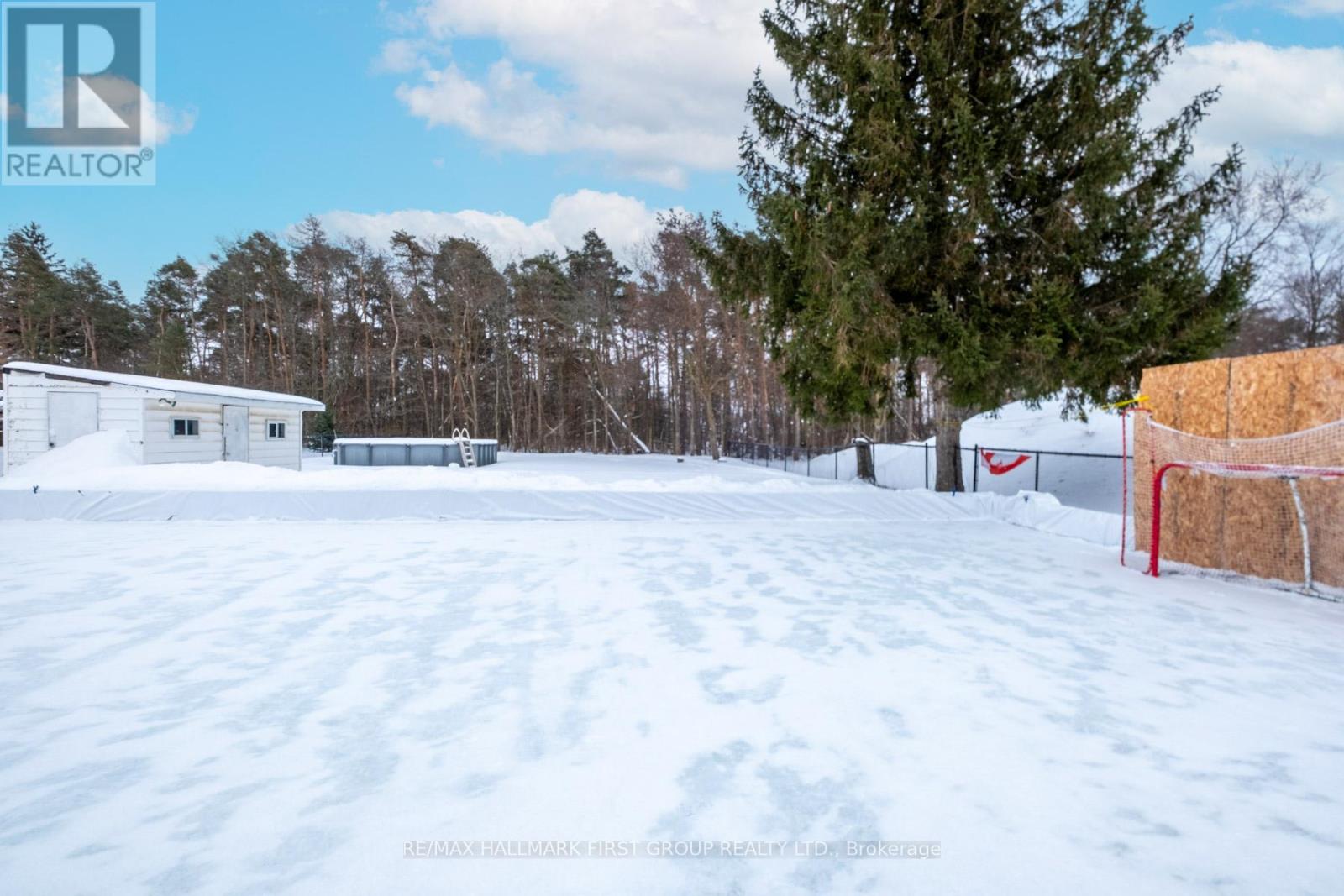 23 Eastwood Avenue, Oshawa, Ontario  L1G 3Y5 - Photo 6 - E12759180