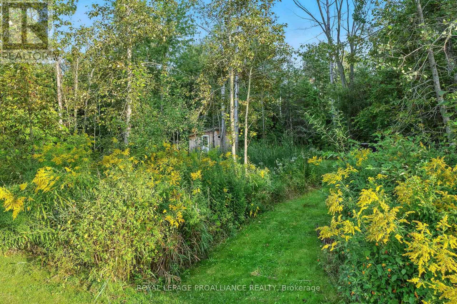 13799 County 21 Road, Cramahe, Ontario  K0K 1S0 - Photo 44 - X12759238