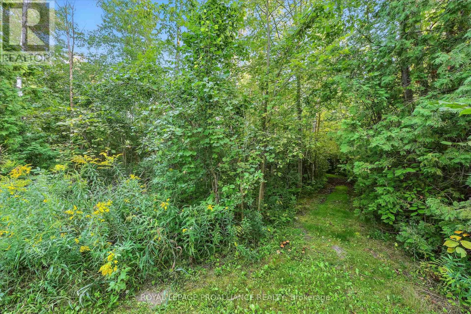 13799 County 21 Road, Cramahe, Ontario  K0K 1S0 - Photo 8 - X12759238