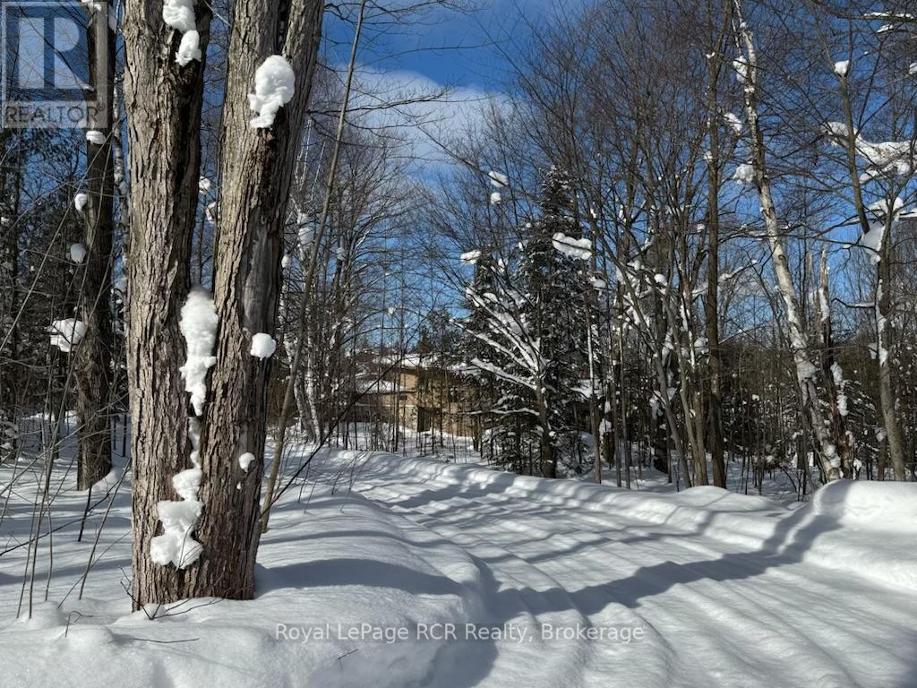 603391 Lime Kiln Road, Chatsworth, Ontario  N0H 1R0 - Photo 4 - X12756910