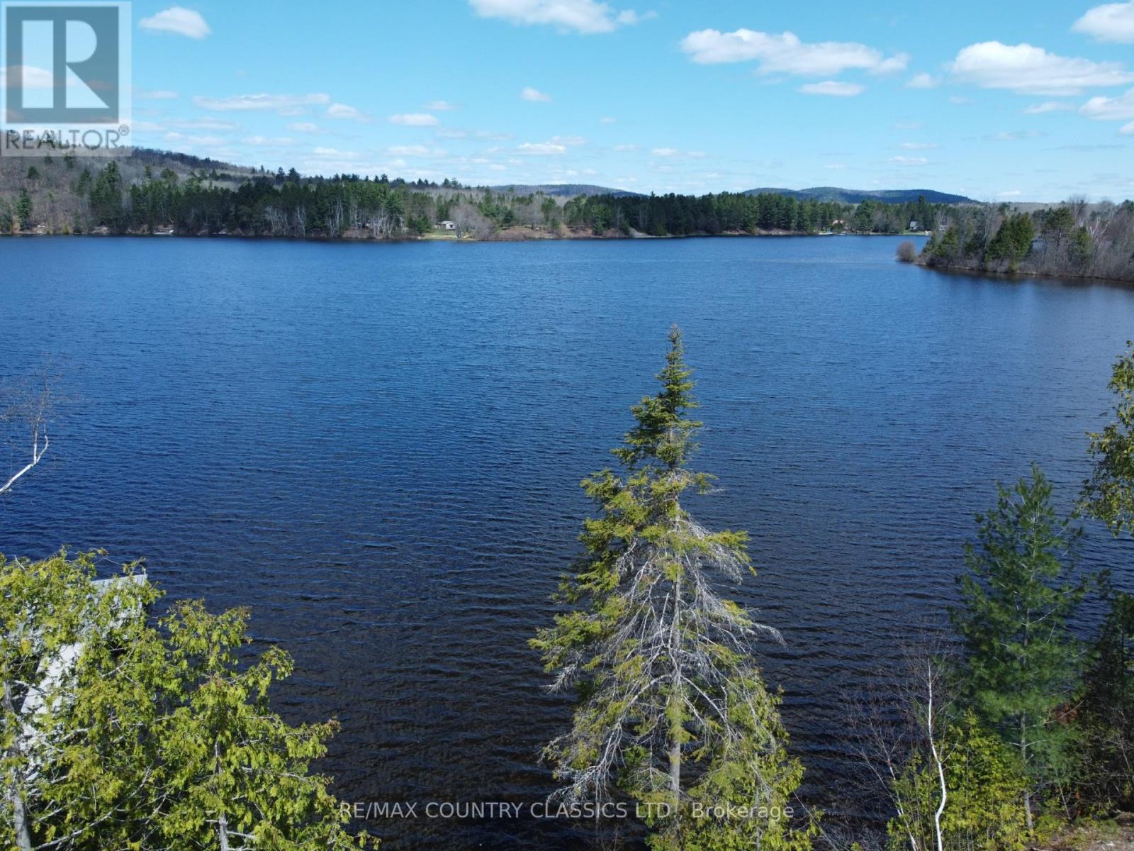 237 Grunwald Road, Madawaska Valley, Ontario  K0J 1B0 - Photo 7 - X12759068